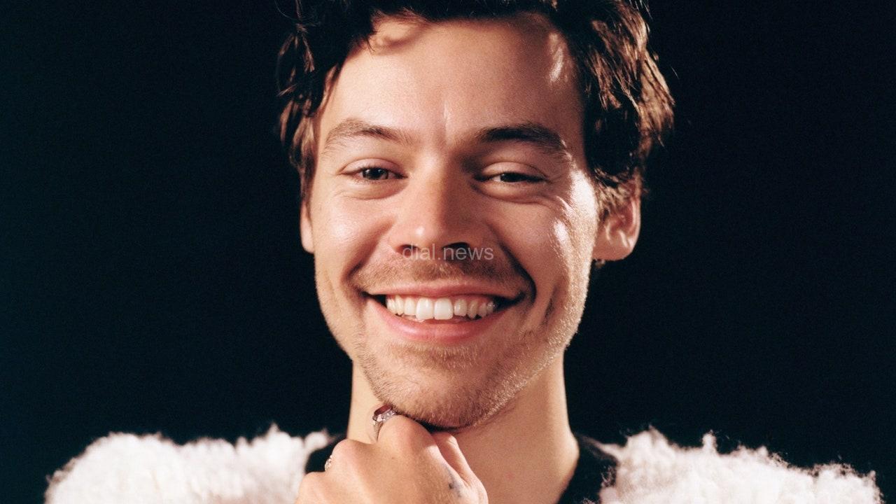 Harry Styles (Foto: Reprodução)