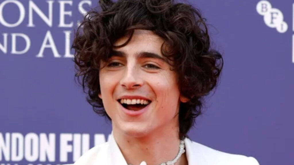 Timothée Chalamet (Foto: Reprodução)