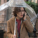 Timothée Chalamet em 'Um Dia de Chuva em Nova York' (Foto: Reprodução)